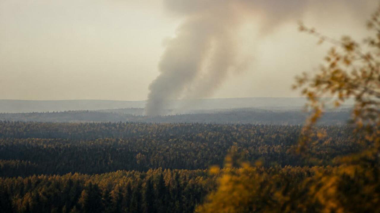 В Красноярском крае горят леса: площадь пожаров достигла 675 г Лесные пожары в Красноярском крае: площадь возг...