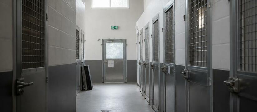 В Красноярском крае вступили в силу новые прави...