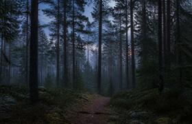 В Красноярском крае ввели комендантский час из-...